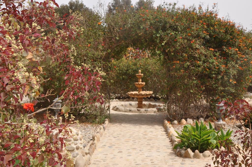 La Palmeraie De Massa Zaouit Massa 외부 사진