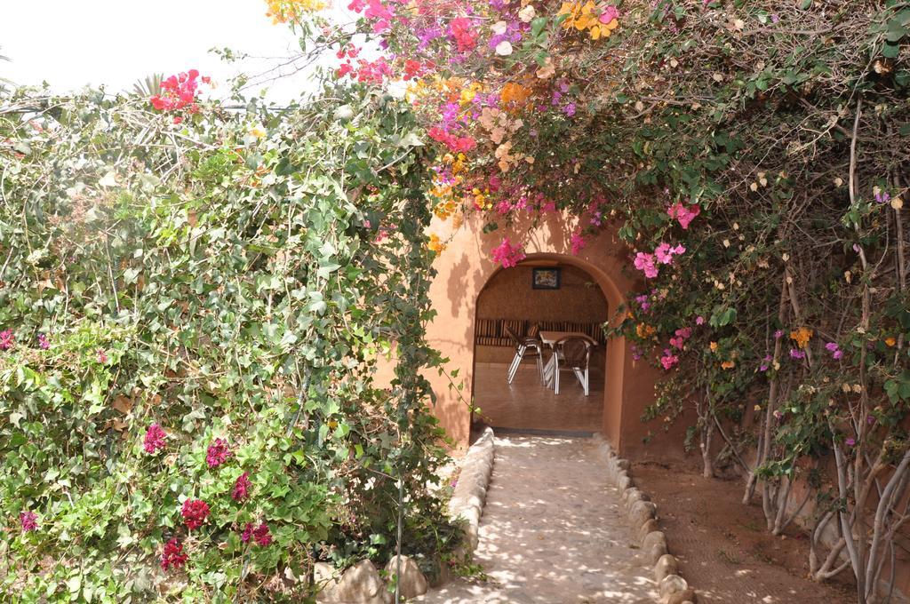 La Palmeraie De Massa Zaouit Massa 외부 사진