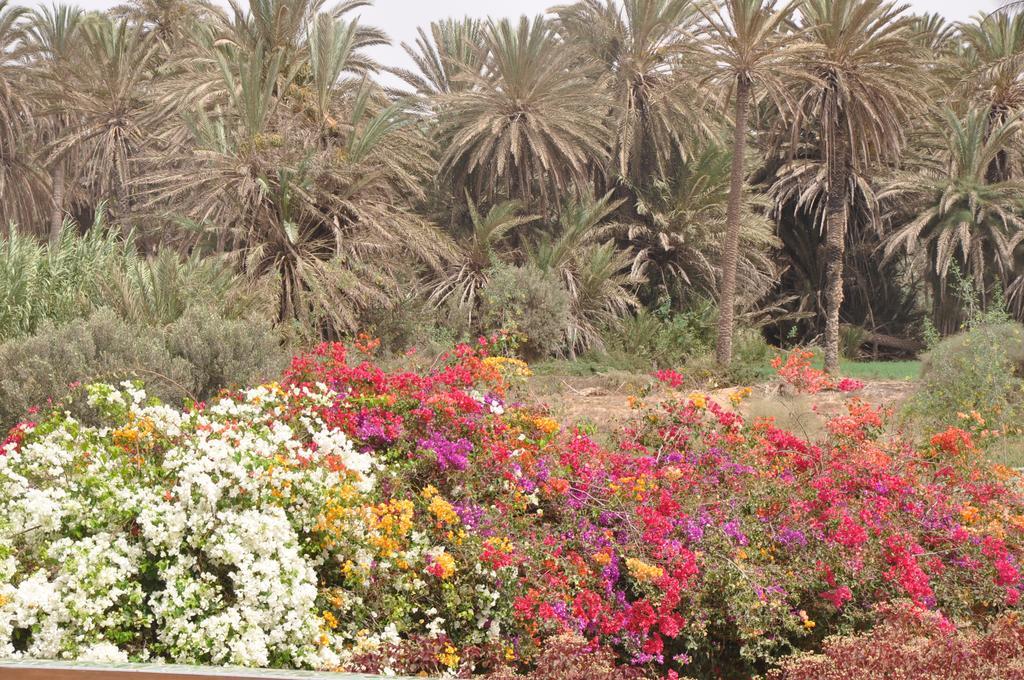 La Palmeraie De Massa Zaouit Massa 외부 사진