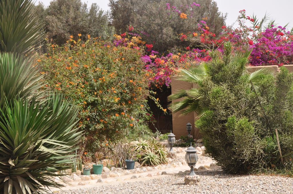 La Palmeraie De Massa Zaouit Massa 외부 사진