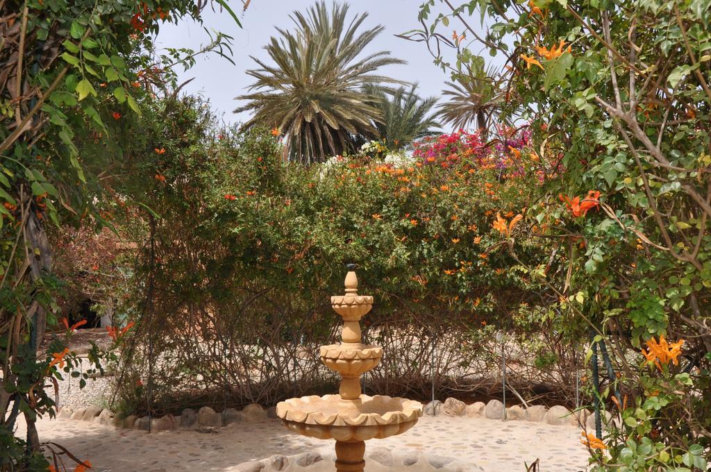 La Palmeraie De Massa Zaouit Massa 외부 사진